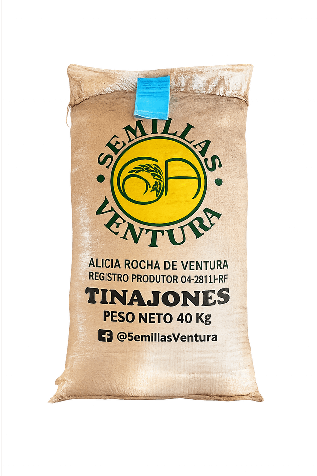 Semilla certificada de arroz Tinajones INIA 508 - Ferreñafe, Lambayeque